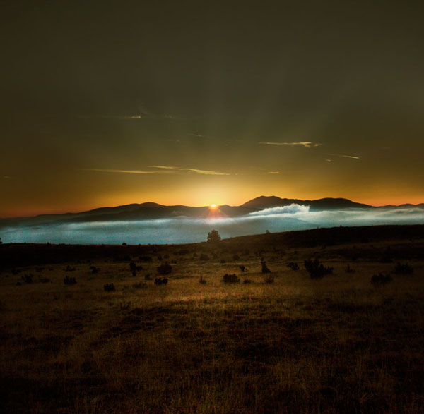 Photograph Marko Radovanovic Something Up on One Eyeland